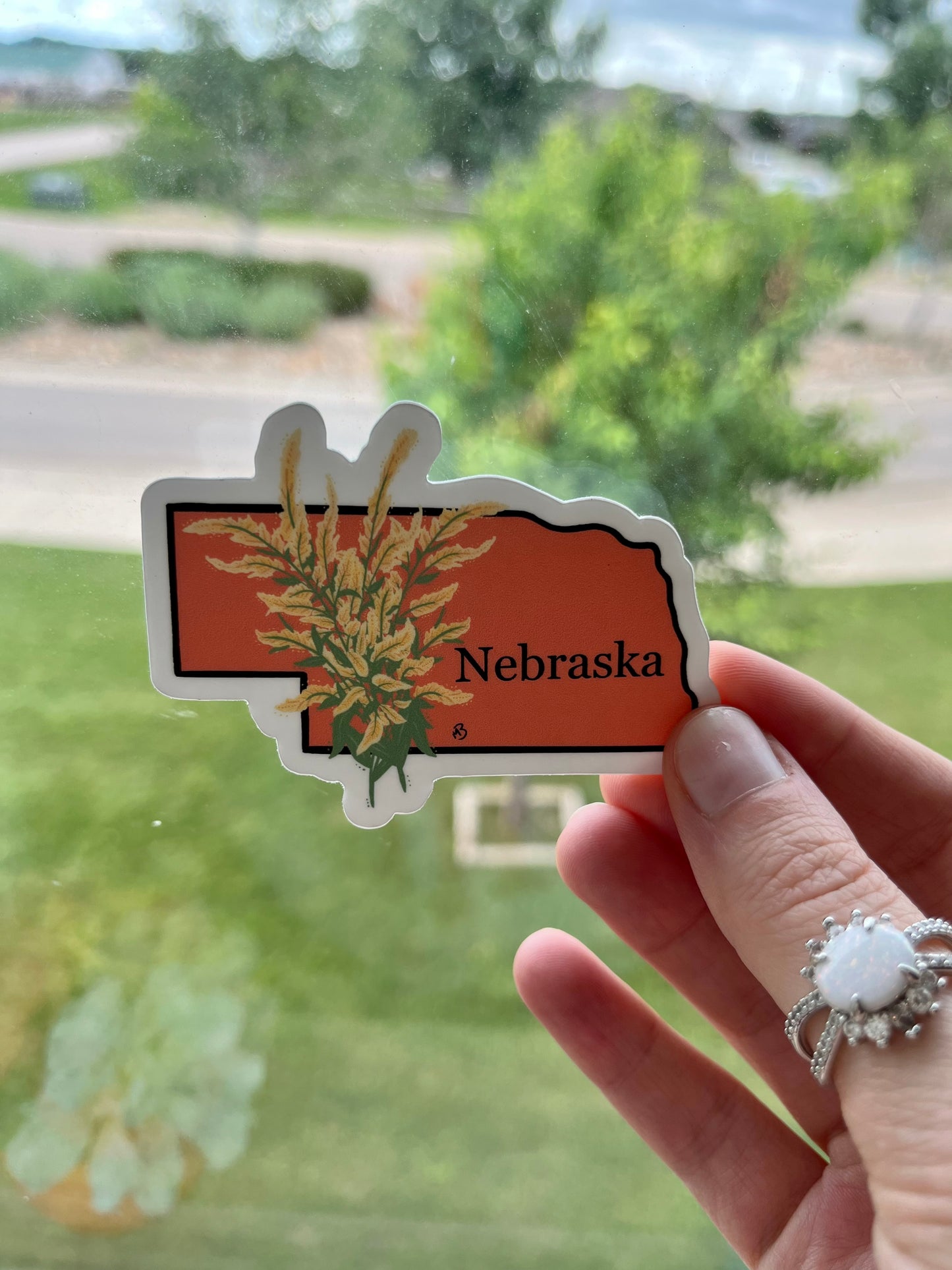 Nebraska State Flower