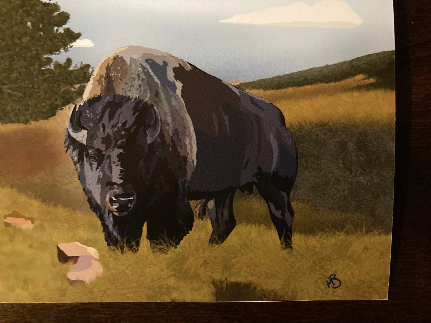 Buffalo Roam Print